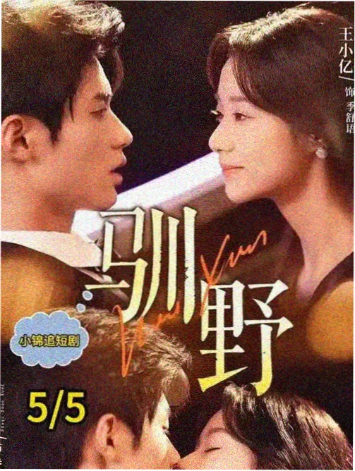 韩国电影春天 摄影指导工作照